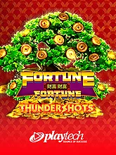 Fortune Fortune: Thundershots